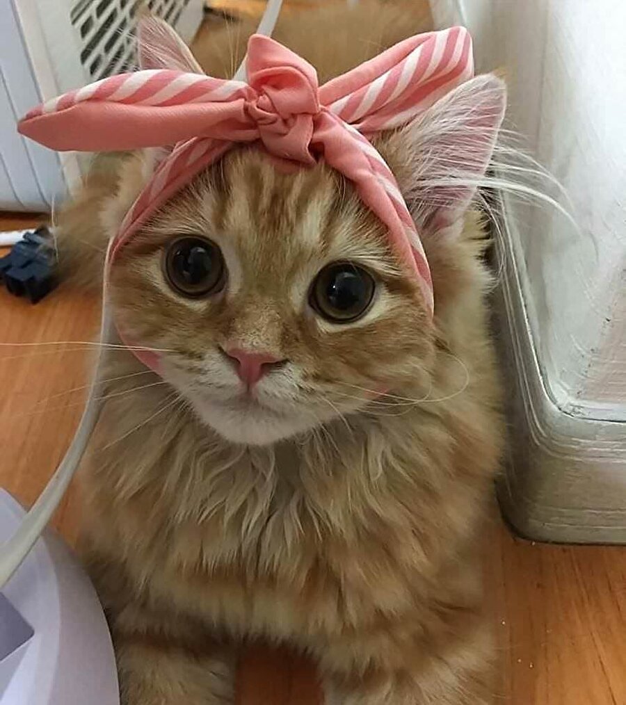 ​Temizliğe başlıyorum kombini