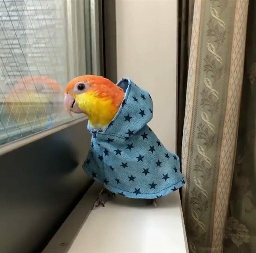 Yağmur yağacak dediler çektim yağmurlukları bekliyorum