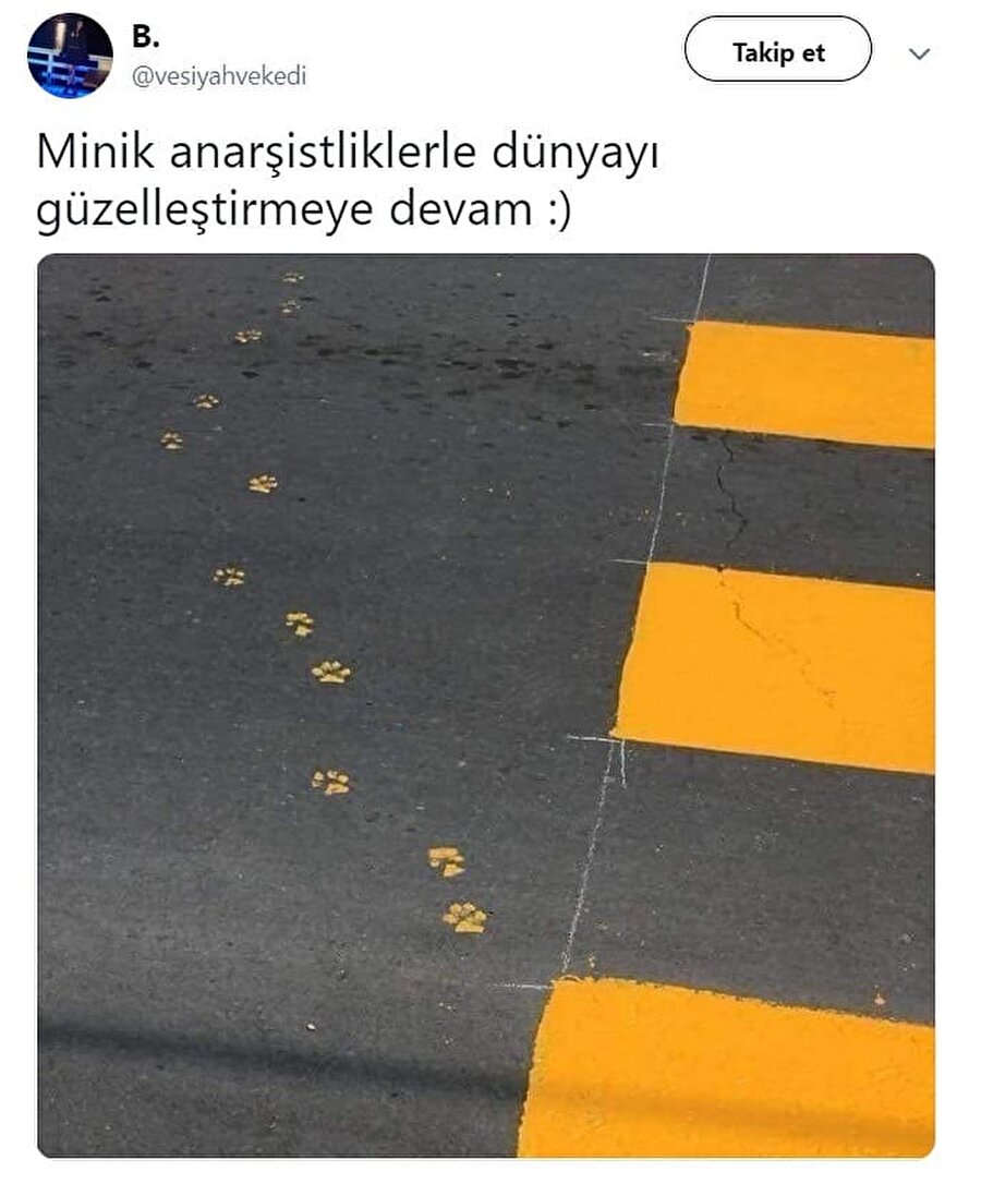 Mutluluk verici görüntüler