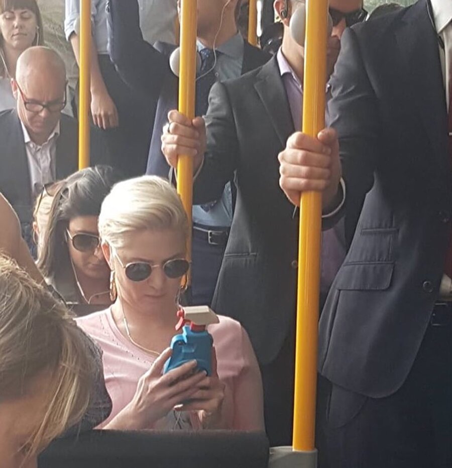 Başak burcu telefon kabı