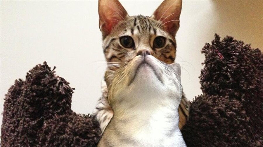 Biz yengenizle hep birbirimizi tamamlarız