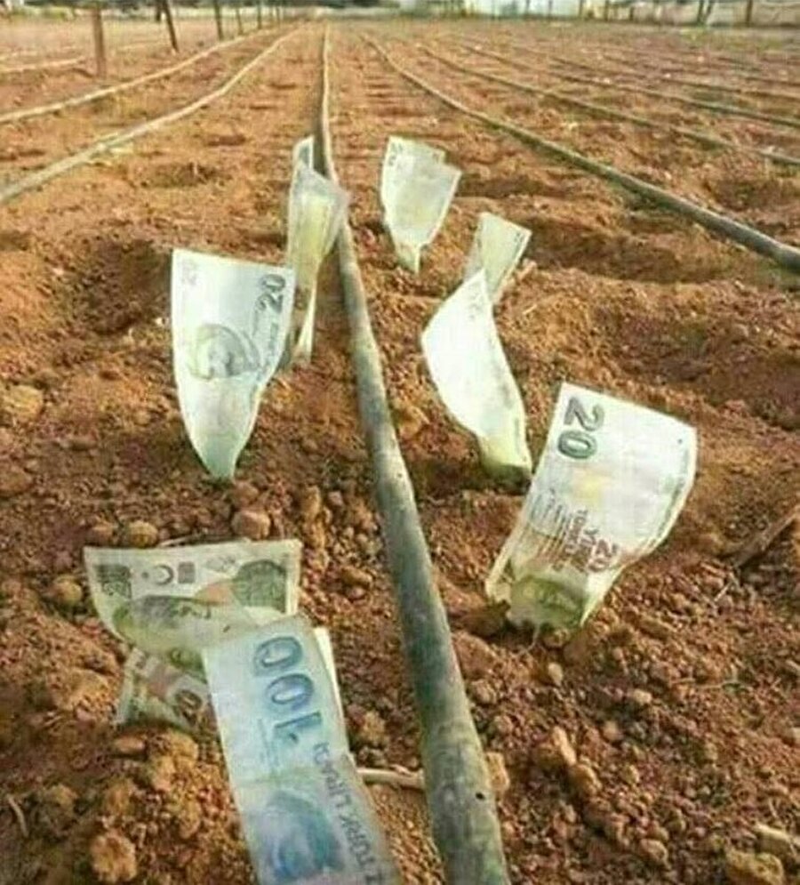 "​Ne ekersen onu biçersin" sözünü yanlış anlamak