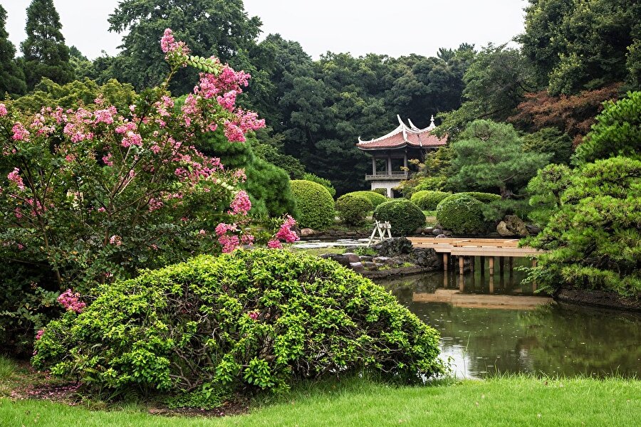Shinjuku Gyoen ulusal bahçesi genel görünüm.