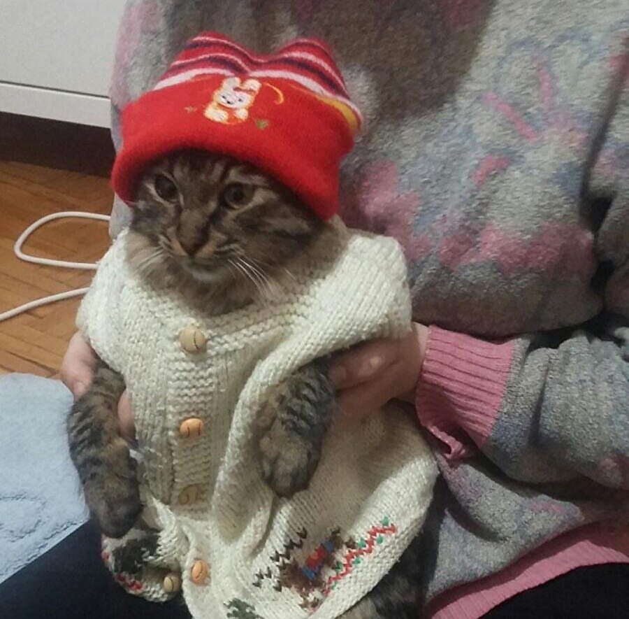 Tamam oğlum mama almaya da ben giderim