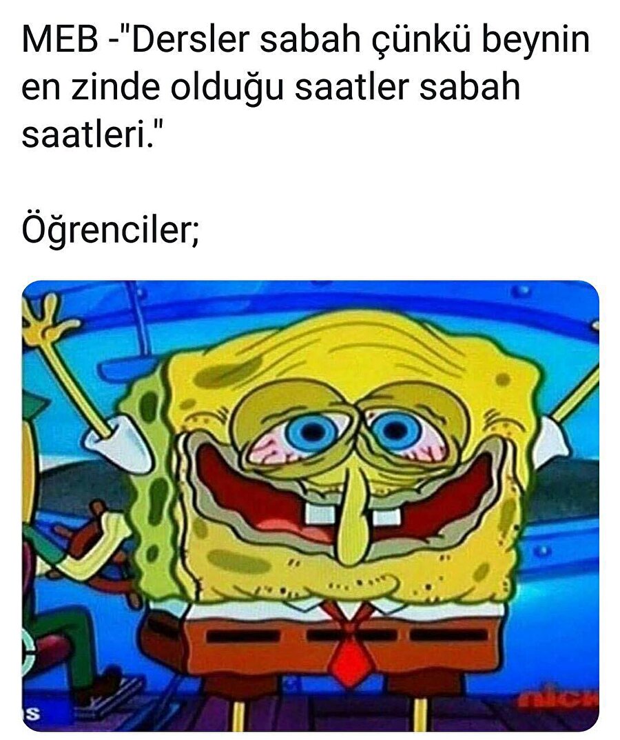 Bırakın da uyuyalım hocam