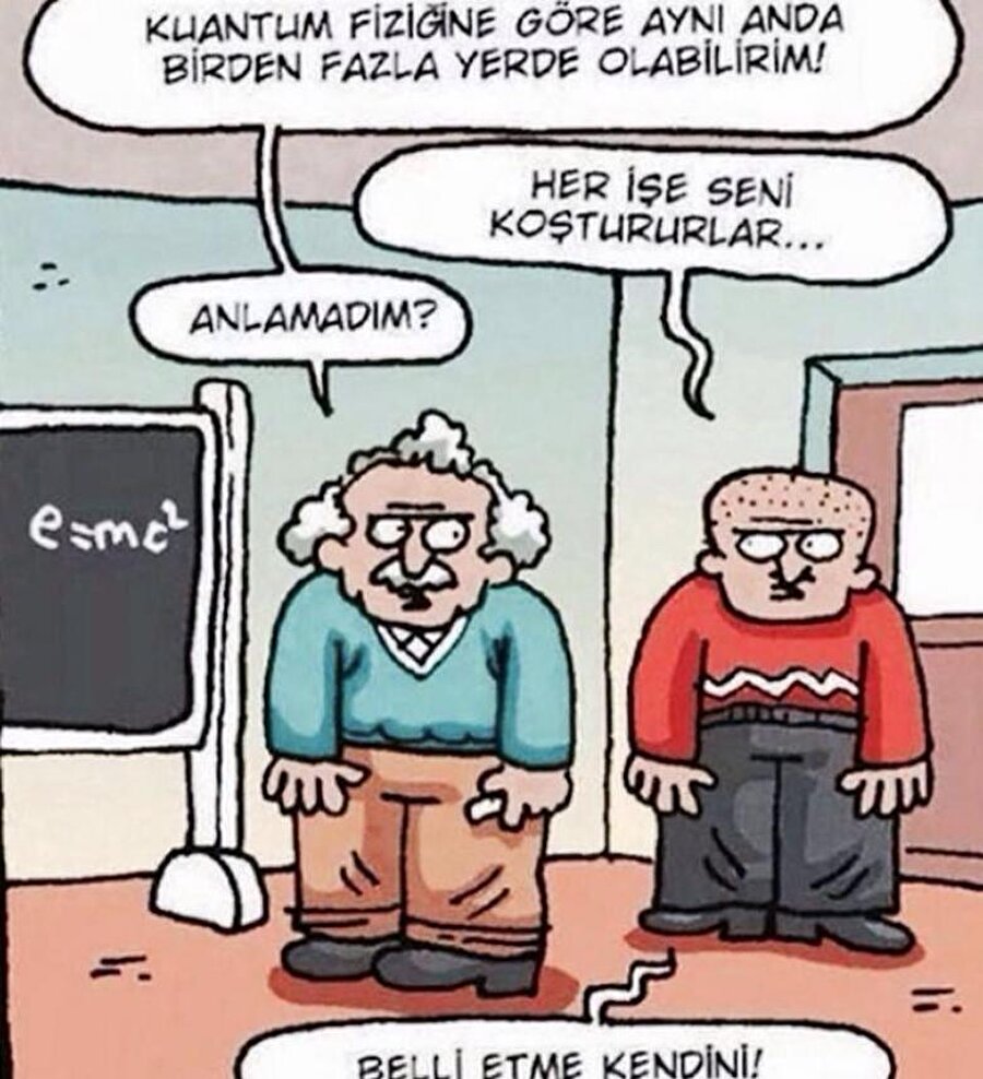 Hangisi Einstein karar veremedim