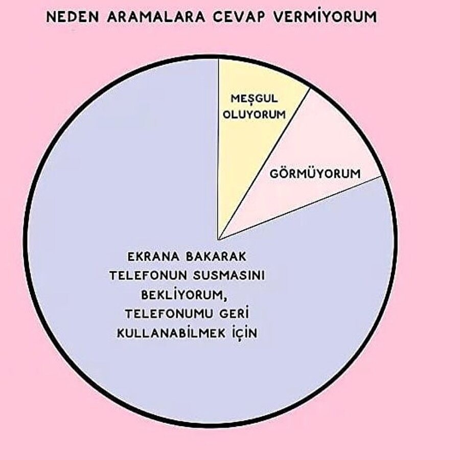 Elbette pastanın büyük dilimiyiz