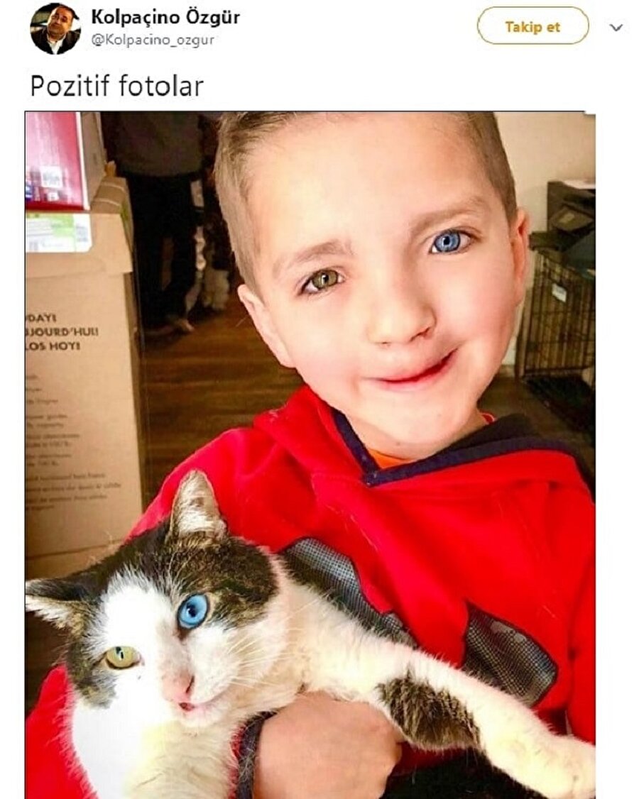 Yıllardır kayıp olan ikizini bulmuş gibi