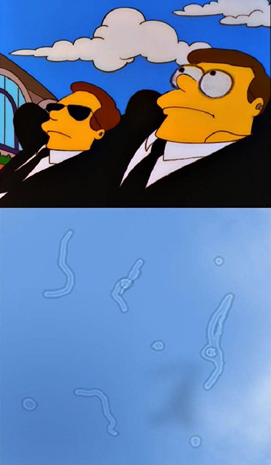 Yaşamayan yalan söyler