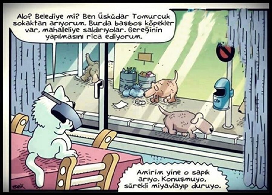 Tavuklar da televizyonda kırmızı et övsün o zaman