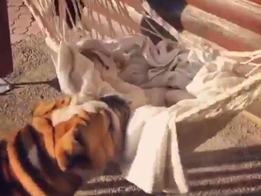 Senin yerinde olmak isterdim​