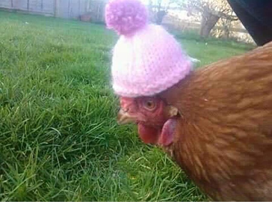 Havalar soğudu. Bu şekilde geziyoruz