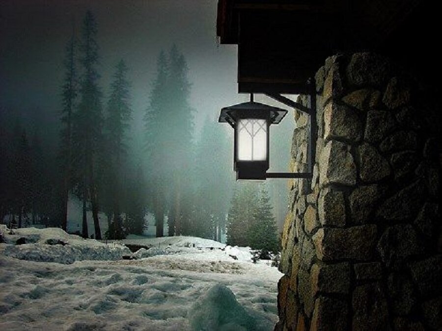 Sequoia Milli Parkı, California