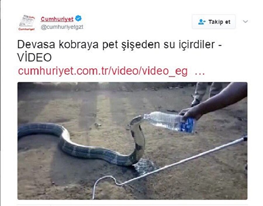 ​Su içen yılana yılan bile dokunmaz