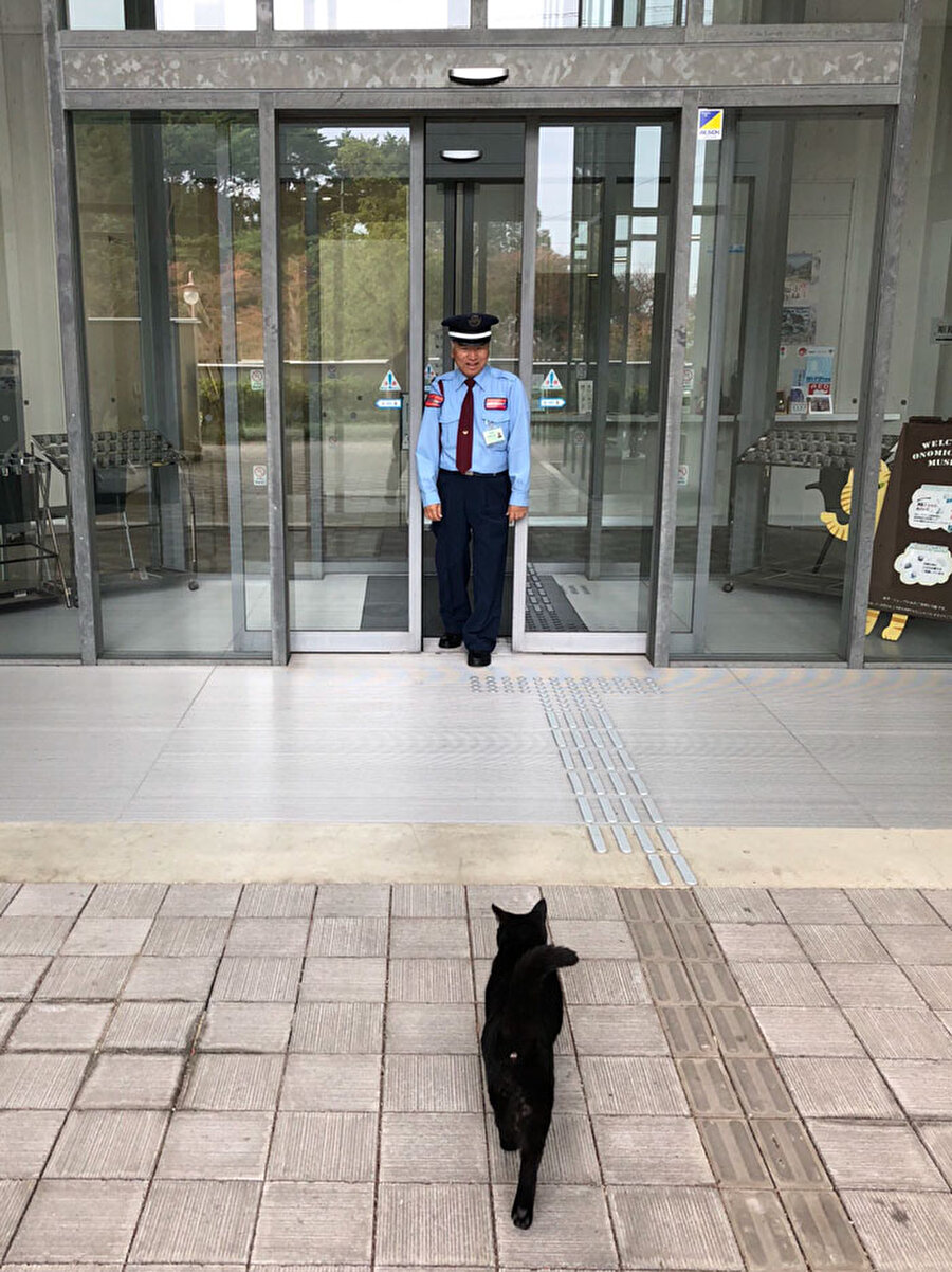 Çalışanların mesaisi kediler oldu

                                    Hiroşima Onomichi Kent Sanat Müzesi çalışanları, günlerinin çoğunu kedilerin içeri girmesini engelleyerek geçiriyor.
                                