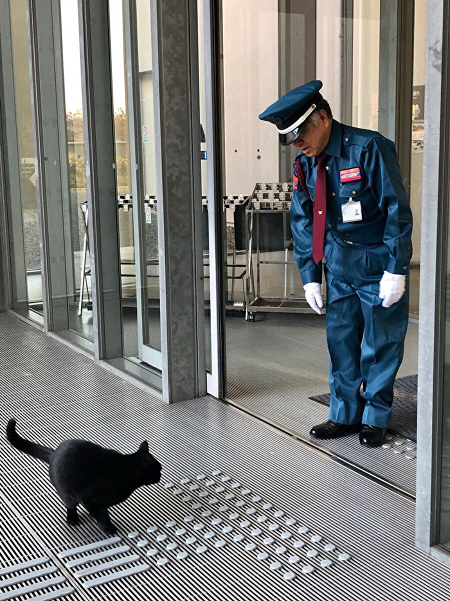 Her şey bir sergisiyle başladı

                                    Her şey, müzenin "Cats -Mitsuaki Iwago Fotoğraf Sergisi" isimli organizasyonuyla başladı. Sergi açıldıktan sadece günler sonra, olağan dışı bir ziyaretçi geldi.
                                