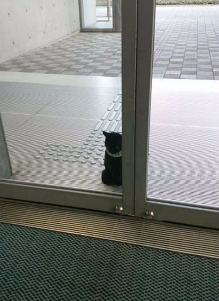 Kendine benzettiği kediye ulaşmak için gnlerce bekledi

                                    Sergide kendine benzettiği siyah bir kedinin fotoğrafını gören Ken-chan, bir daha müze kapısından ayrılmadı.
                                