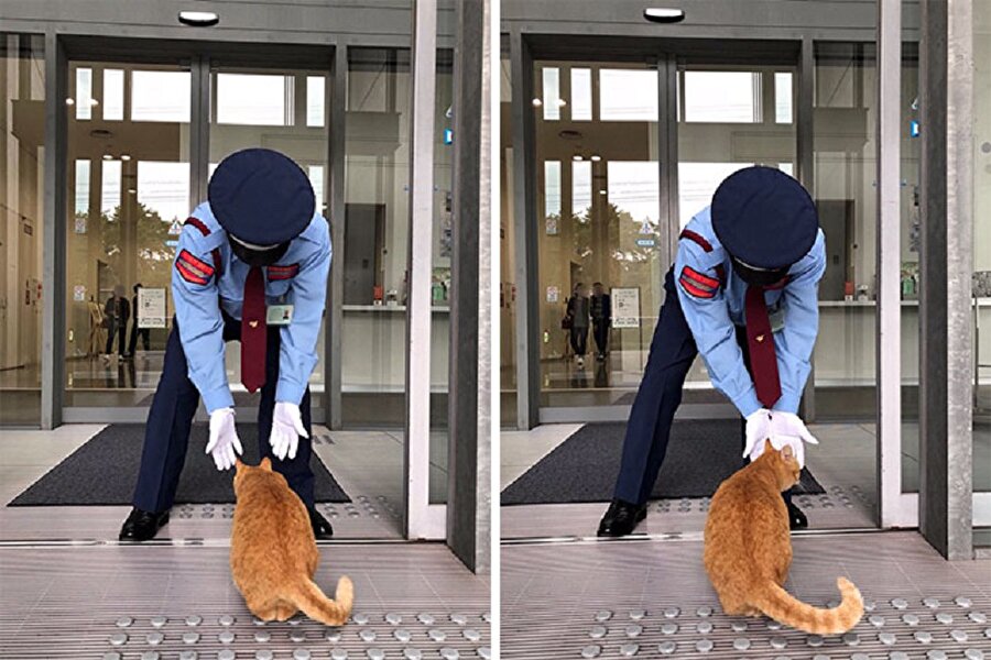Başarısızlıklar ve olumsuzluklar karşısında yolundan vazgeçip hevesi kırılanlara örnek olacak bir hayat hikayesi.