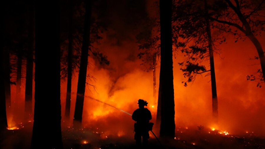 Ağaçları düzenli olarak kayıt etmek orman yangınlarını önler mi?

                                    
                                    
                                    
                                    
                                    Ortak bir varsayım, ağaçların kaydedilmesinin yangınları önleyebileceği. Birçok orman uzmanı, kayıt işleminin etkisiz olduğunu söylüyor. Örneğin, yakın tarihli bir çalışmada , daha sistemli, ağaç kayıtlarının günü gününe yapıldığı yüksek yönetim düzeylerine sahip bölgelerde yangın şiddetinin daha yüksek olduğu ortaya çıkmış. Bilinenin aksine kurumuş ağaçlar ve kütükler temizlense dahi orman yangınlarının çıkması,yayılması engellenemiyor. Benekli baykuş gibi hayvanların yanan bir ormandan yararlandıkları ve yangında zarar görümüş ağaçların ortadan kaldırılmasının onlara zarar verebileceği belirtiliyor.
                                
                                
                                
                                
                                