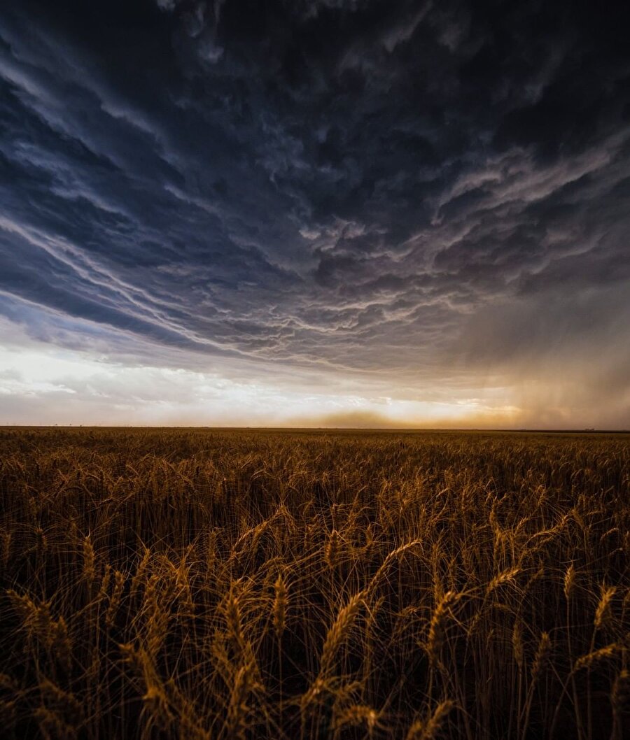 Texas ve çevresindeki buğday alanları üzerinde büyük bir toz fırtınası