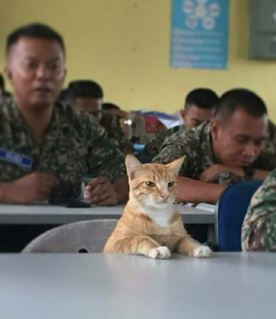 Askerlik yapanlar bu bakışı iyi bilir​