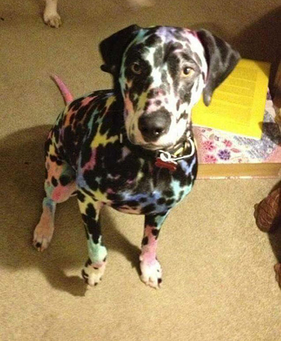 Annecim beyaz olan yerleri boyuyoduk dimi