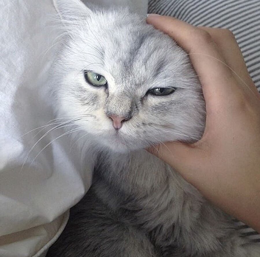 Yalnız sevebilirsin demedim farkındaysan