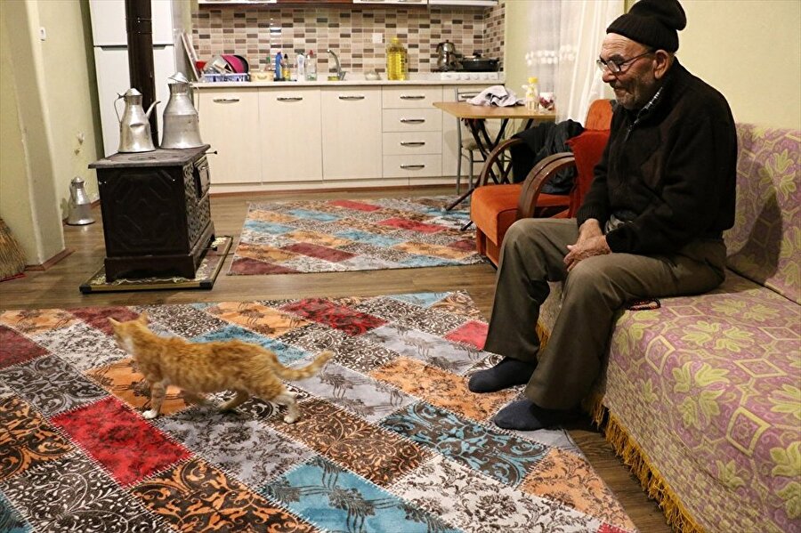 Ali Meşe, yangın sonrası yardım kuruluşlarının katkılarıyla inşa edilen yeni evine taşındı. Ali Dede 3 kedisiyle birlikte yeni evinde yaşamını sürdürüyor.