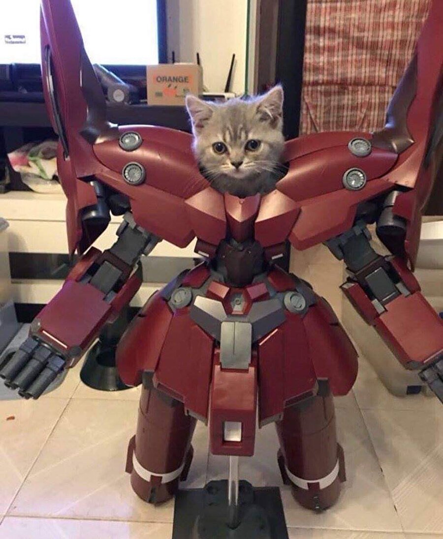 ​Yaşadığım zorluklara karşın olduğumdan daha güçlü görünmeye çalışıyorum