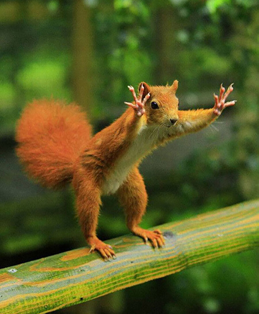 Arkadaşlarla konuşurken aniden bir şeyler anlatmaya kalkınca ben