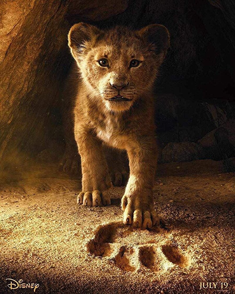 1. Aslan Kral (2019)