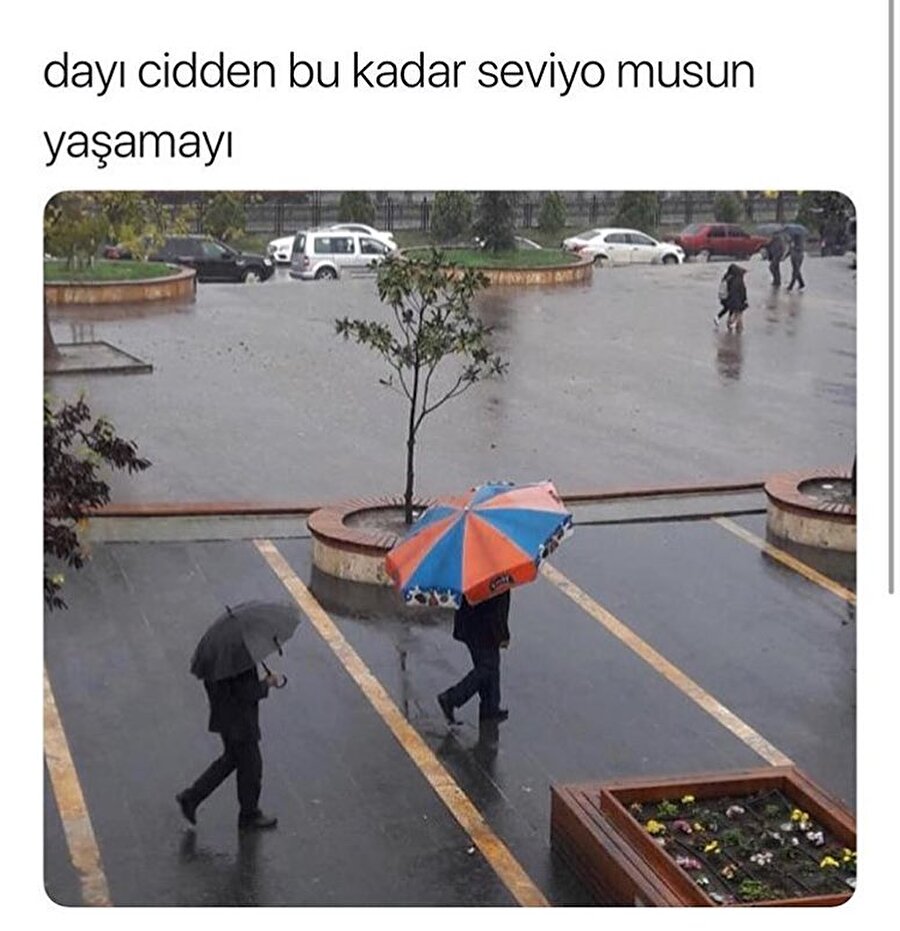 Giresun'da sıradan bir görüntü