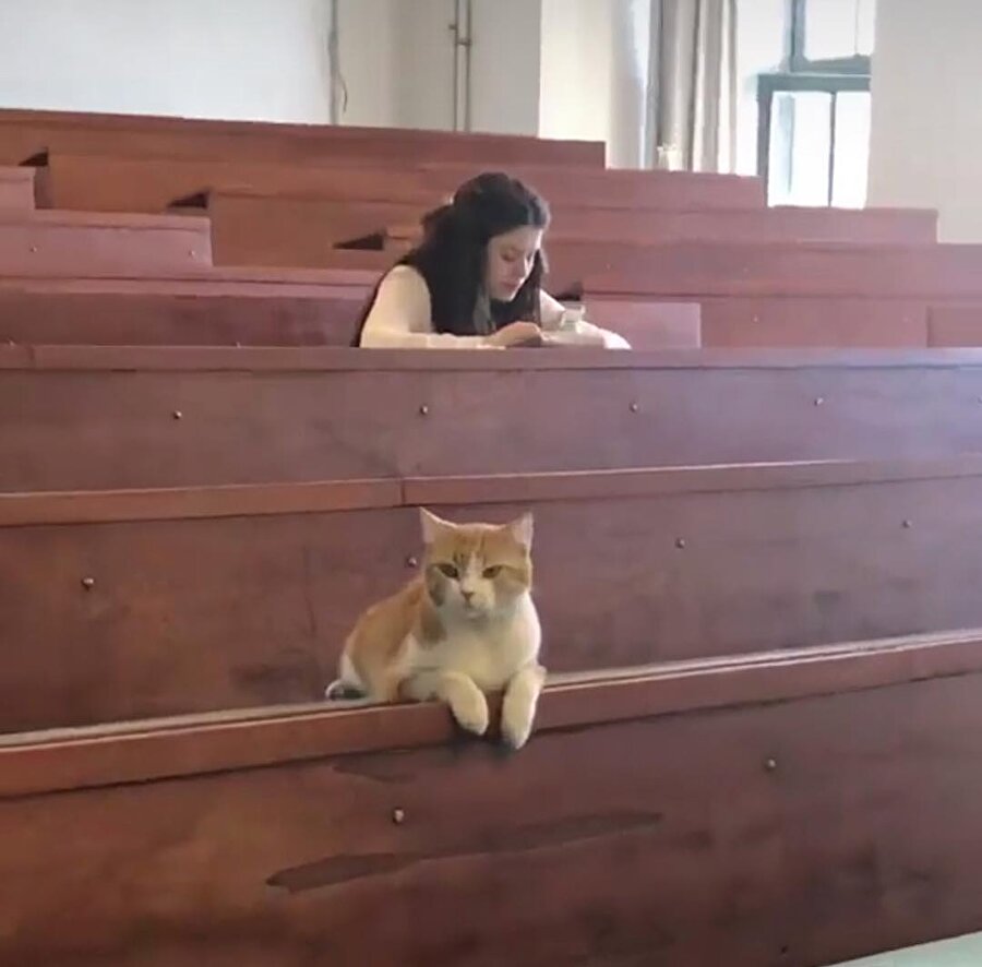 Hocam finale vize konuları da dahil mi?