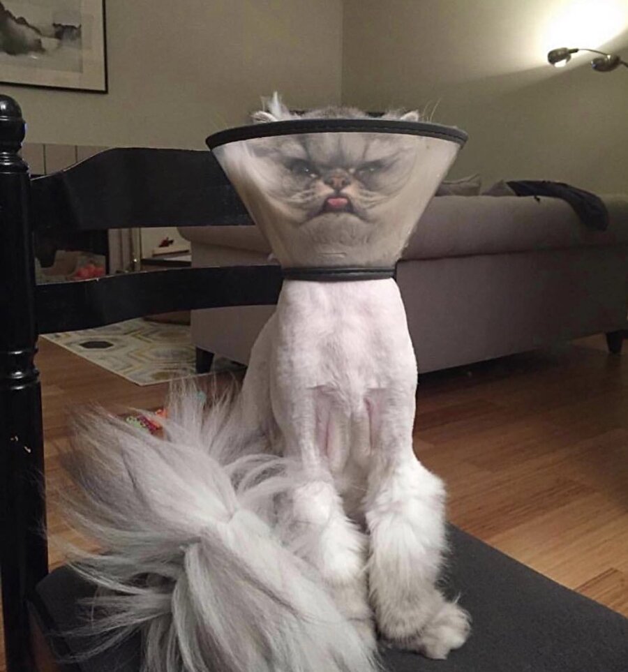 İstediğim montun indirim gününü kaçırdım