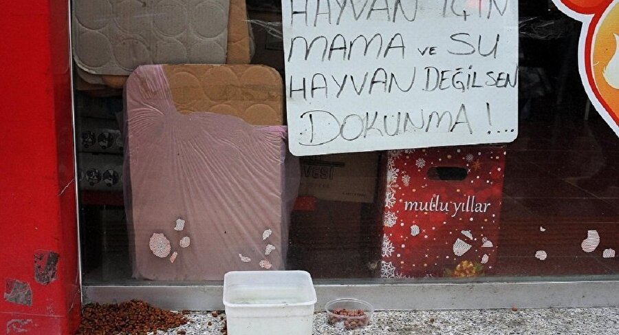 Arşiv