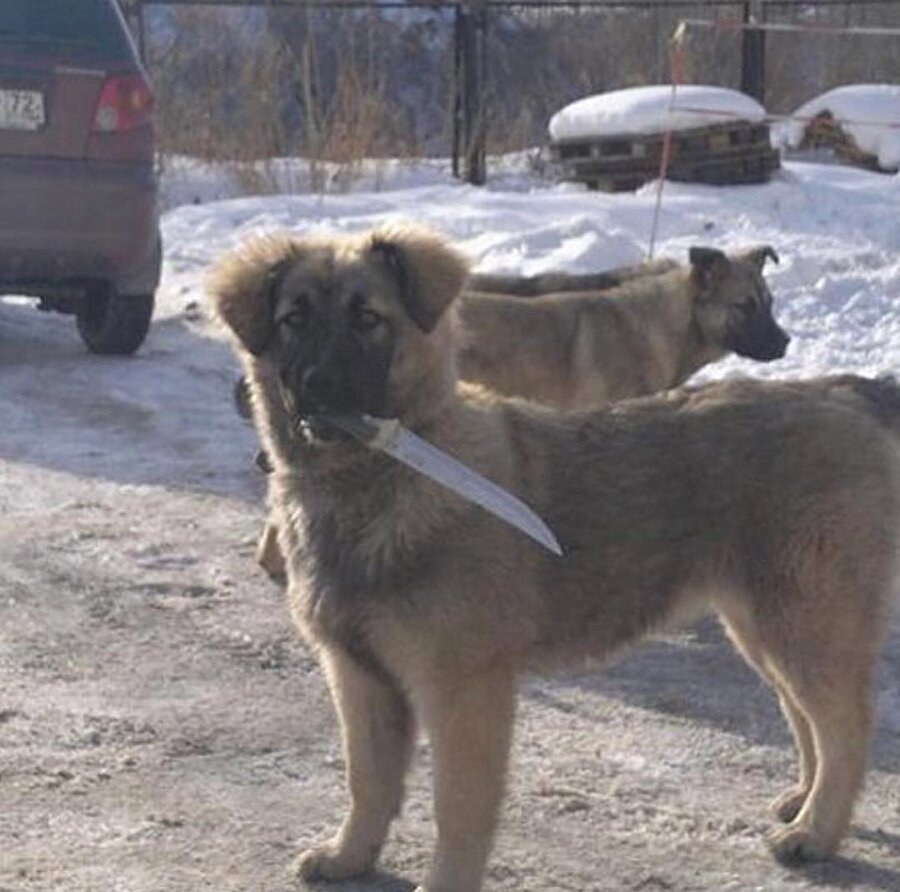 Sivas'a bir şey diyen var mı burada?