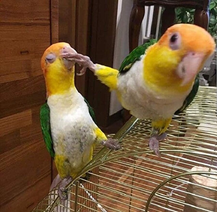 Git şurdan ben tek fotoğraf çektiricem
