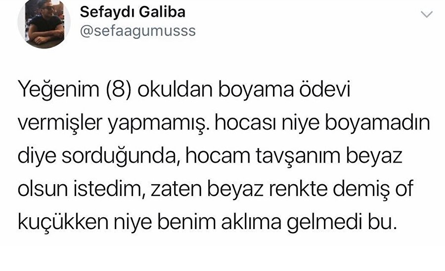 Hocam bırakın boyamayı ilime, fene yönlendirin çocuğu direkt