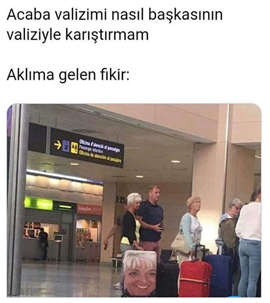 ​Zekice