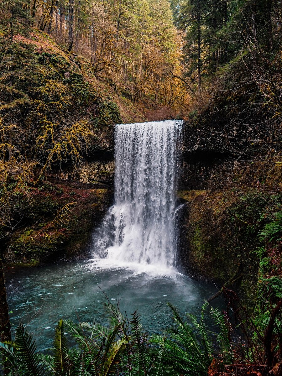 Silver Falls State Park, Oregon