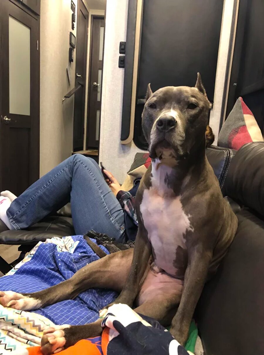 ​Nasılsın bacanak