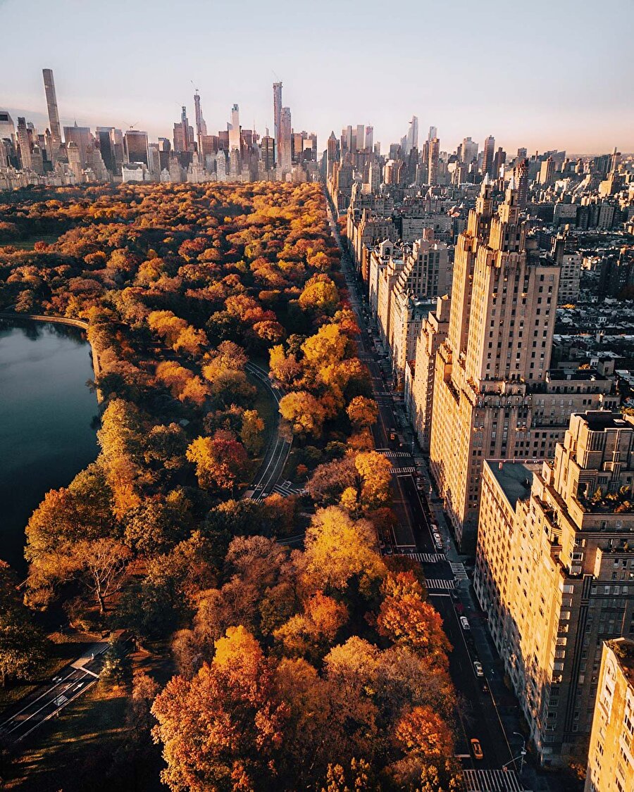 Central Park, New York