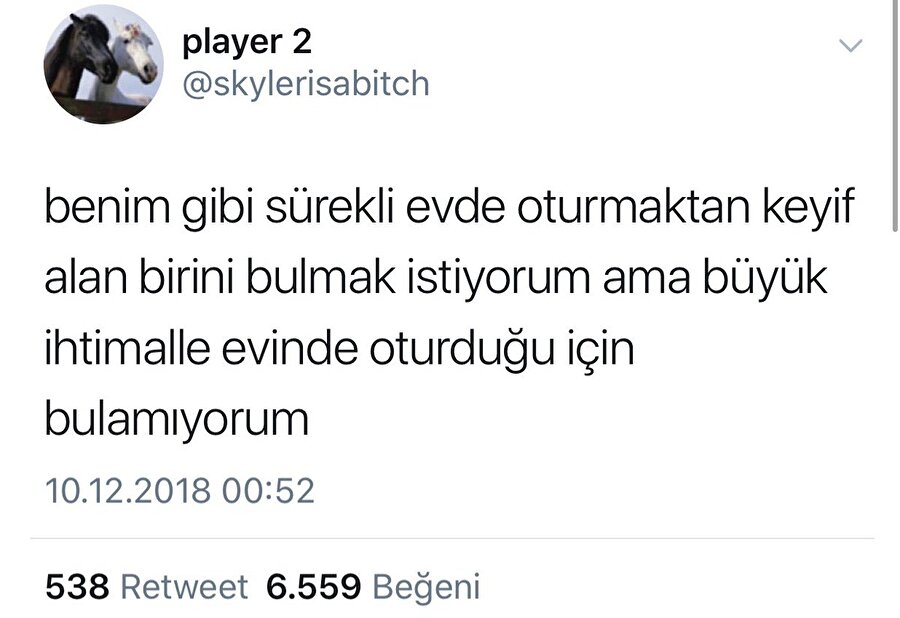 Büyük ihtimalle