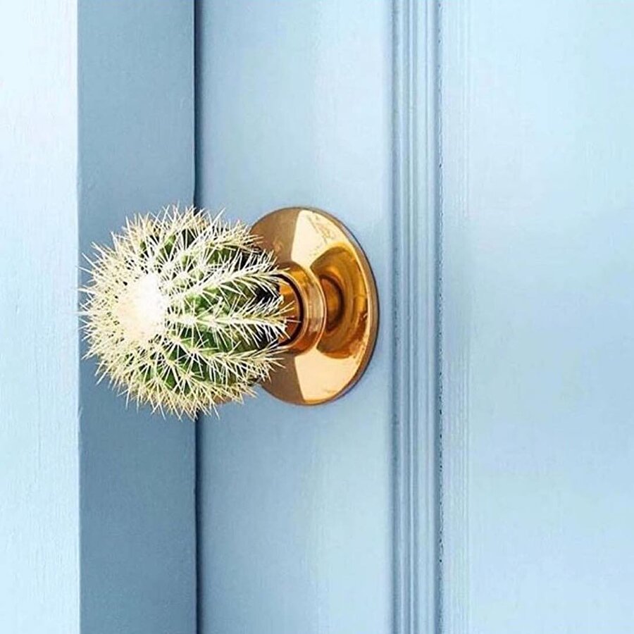 ​Kısmetimin kapısı