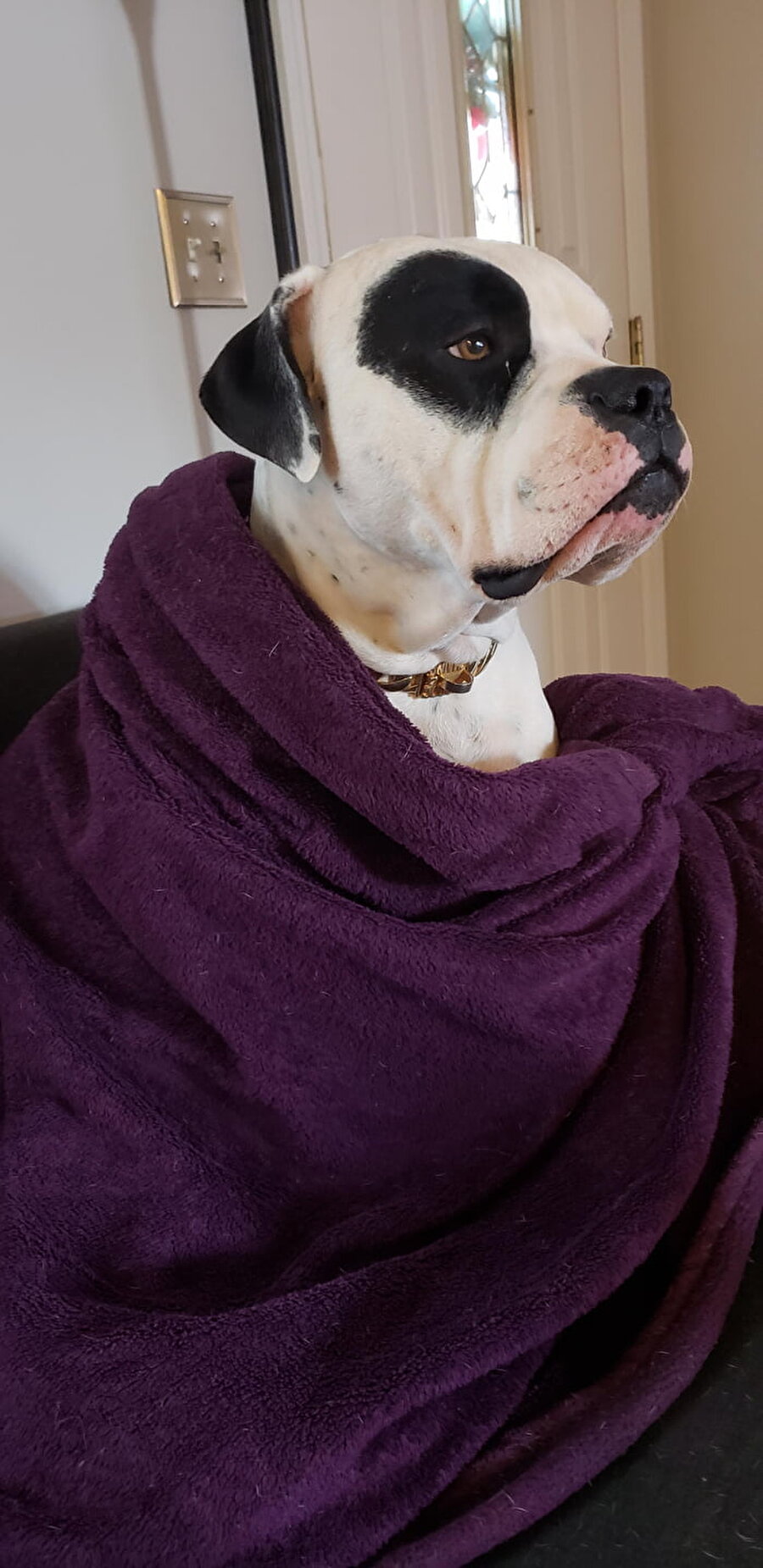 Elinde kahve eksik​