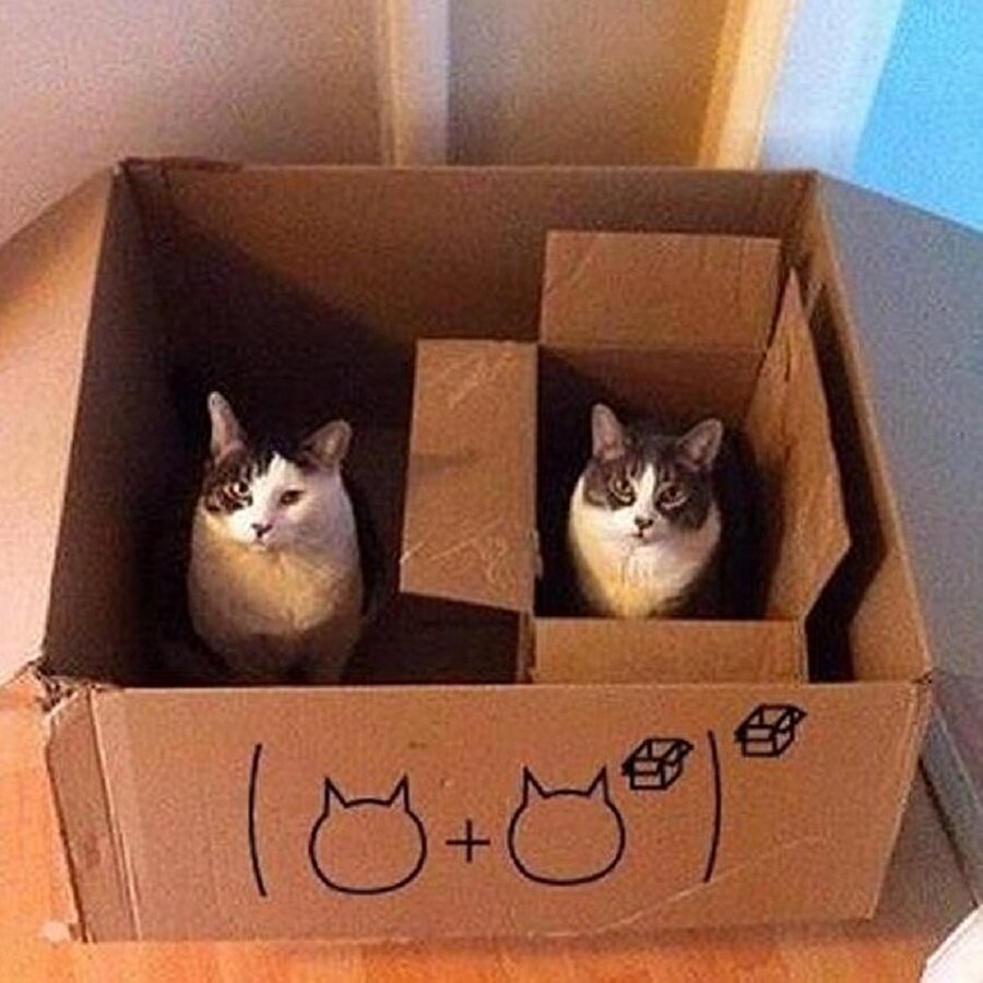 Matematiğim yetmedi