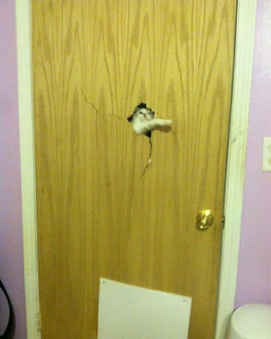 Mamasına protein tozu karışmış​