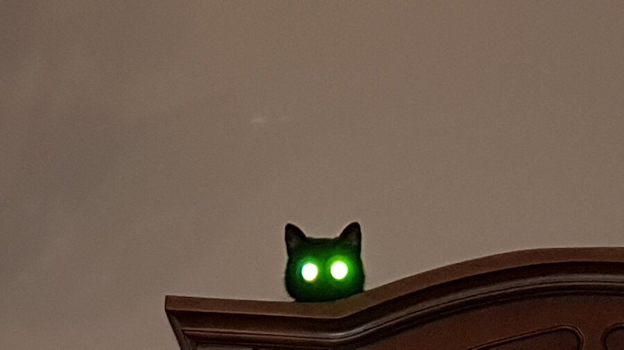 Tırmalayacak perde taraması yapılıyor