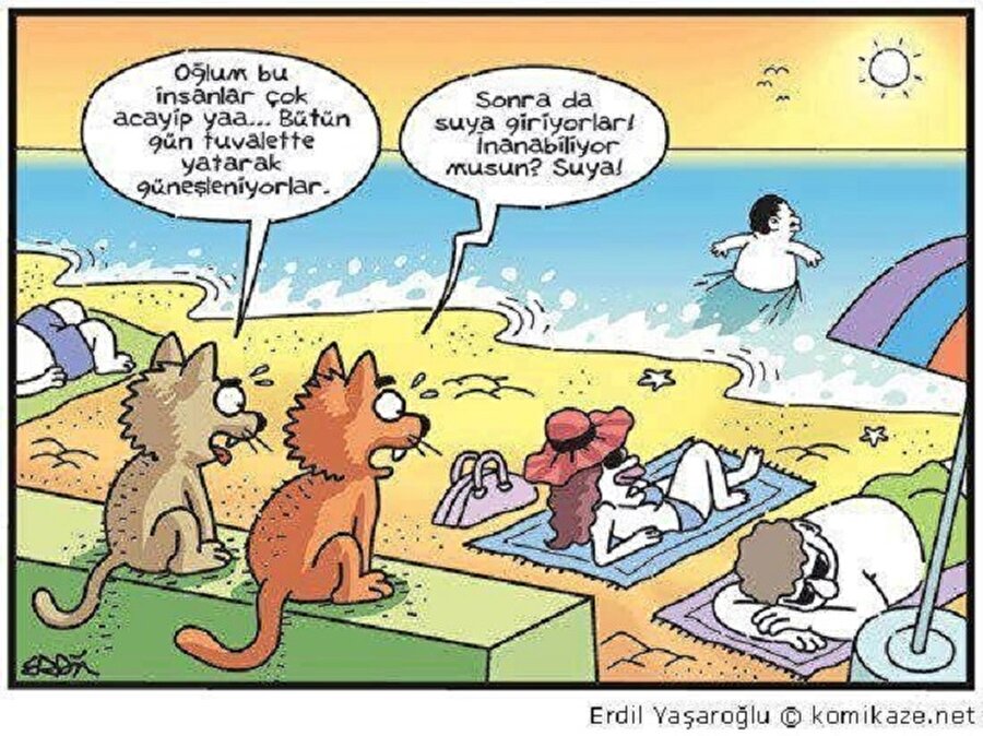 Kedilerin gözünden