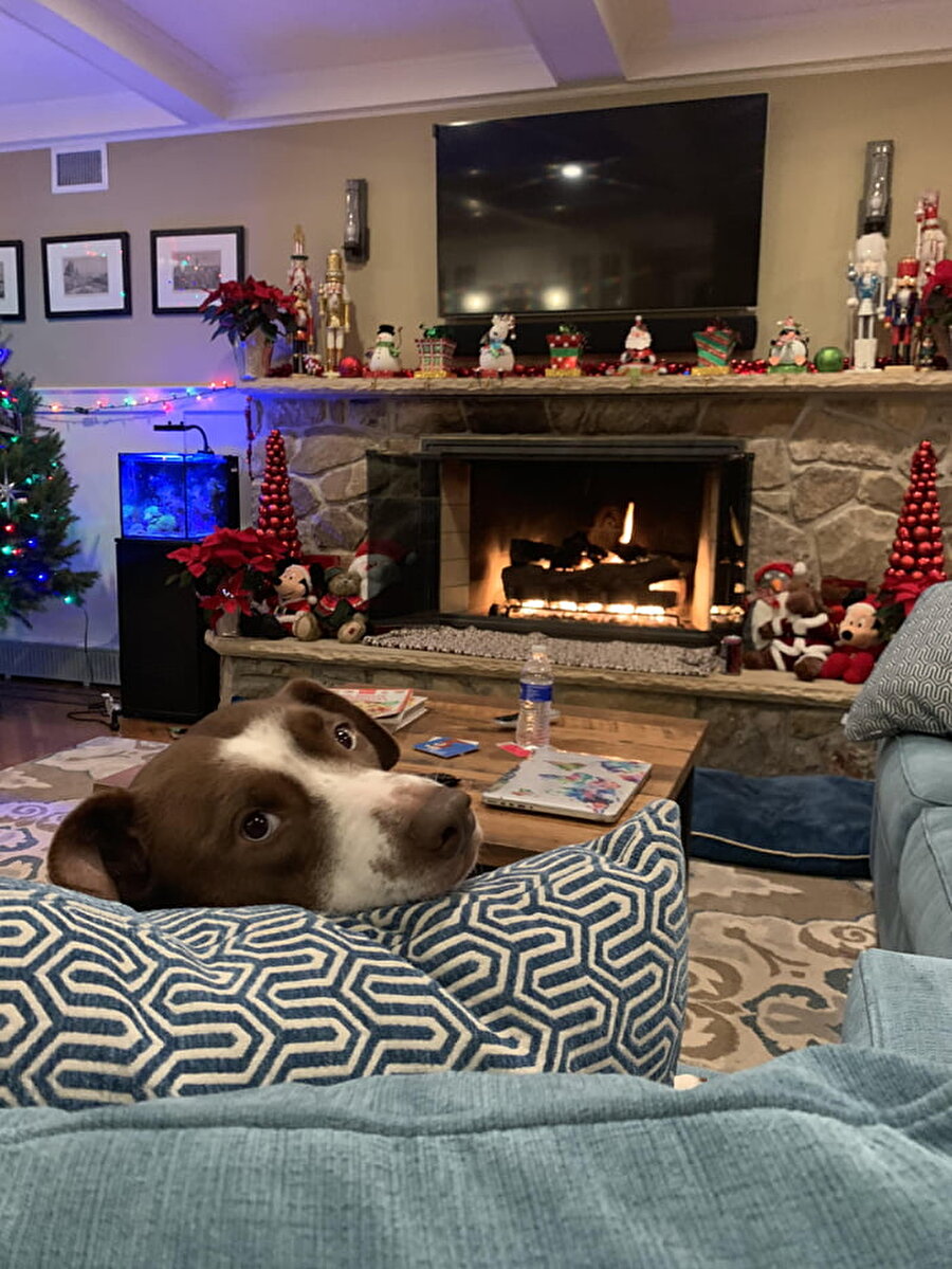 ​Hayat sana güzel